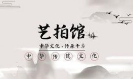 深圳马先生最新爆料,揭秘最新行业动态