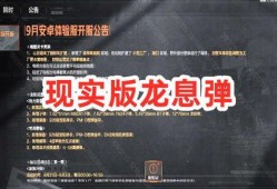 暗区突围爆料最新,全新爆料揭示神秘游戏世界与惊心动魄的冒险旅程