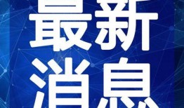 九菜夫妇最新爆料视频,甜蜜背后隐藏的秘密