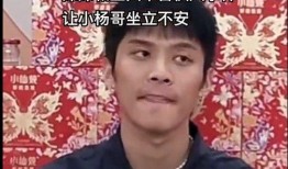 辛巴和三只羊最新爆料,揭秘背后惊人真相！