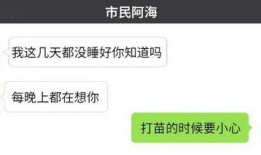 小卫最新爆料,揭秘娱乐圈最新热点事件