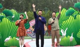 九菜夫妇最新爆料视频,甜蜜背后隐藏的秘密